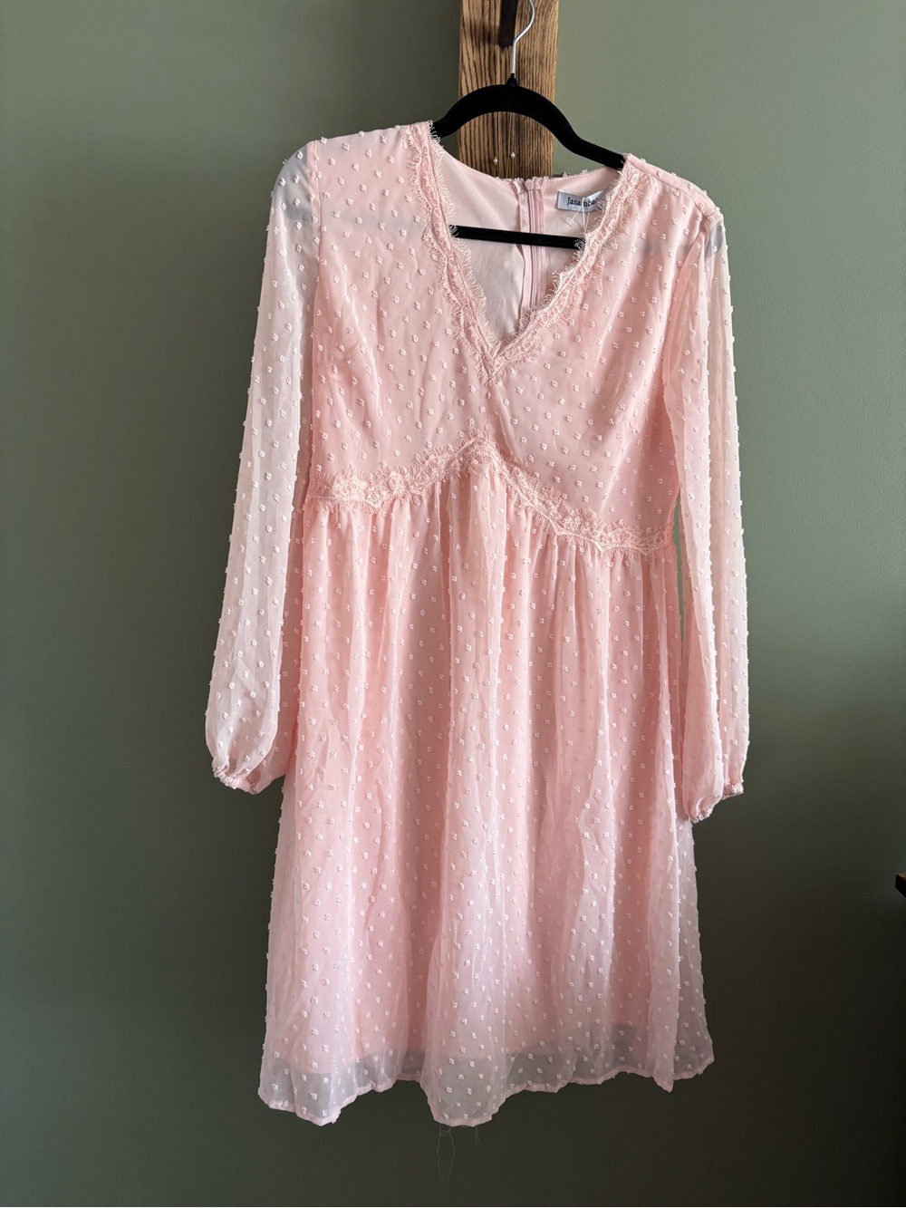 307.) NWT / Delicate Blush Swiss Dot Babydoll Dress